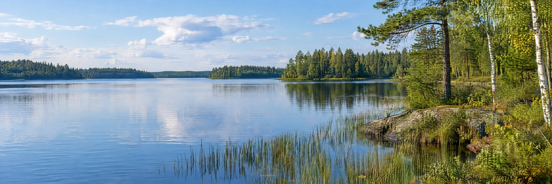 Illustration inspired by Akeley, MN: north-central Minnesota quiet blue lake with pine, birch and aspen woodland, reeds and low forested banks.