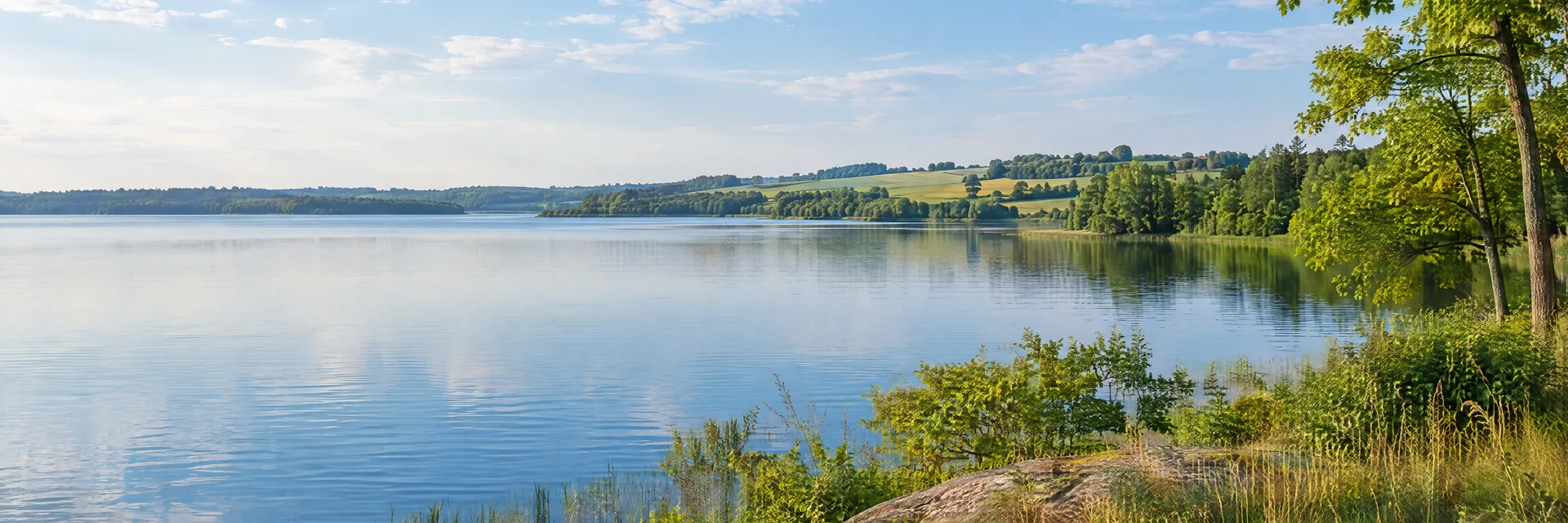 Illustration inspired by Alexandria, MN: western Minnesota quiet freshwater lake, leafy woodland and rolling farm country.