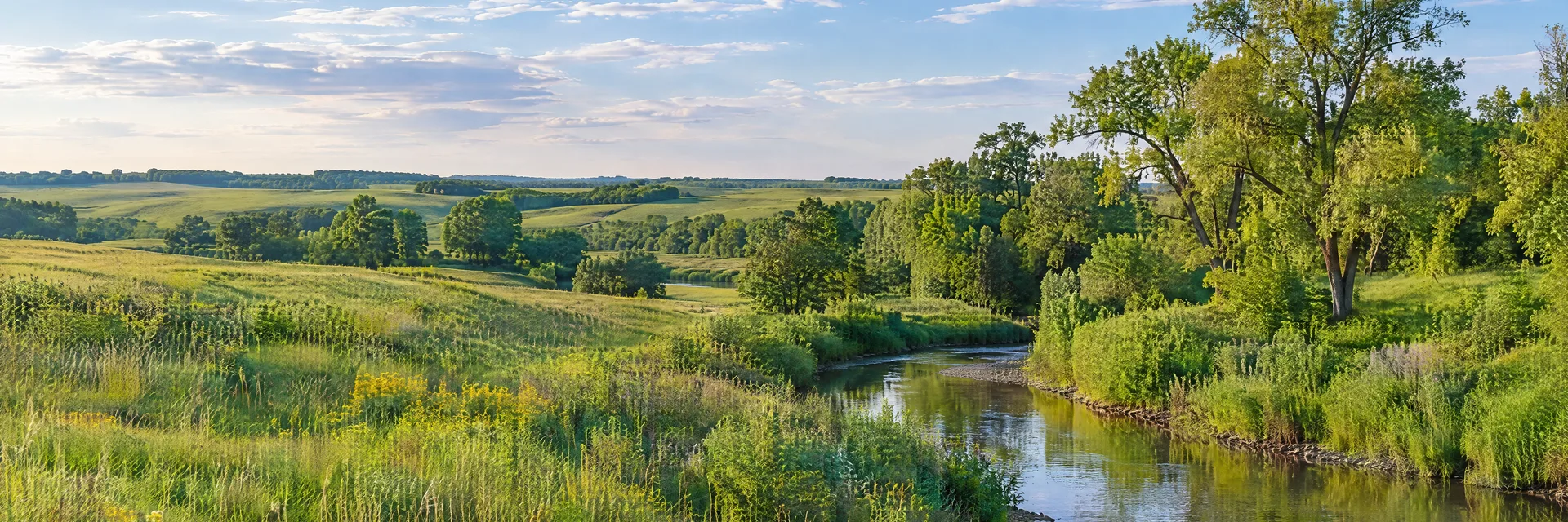 Illustration inspired by Austin, MN: southern Minnesota countryside, rolling green prairie, mature deciduous trees and a quiet creek.