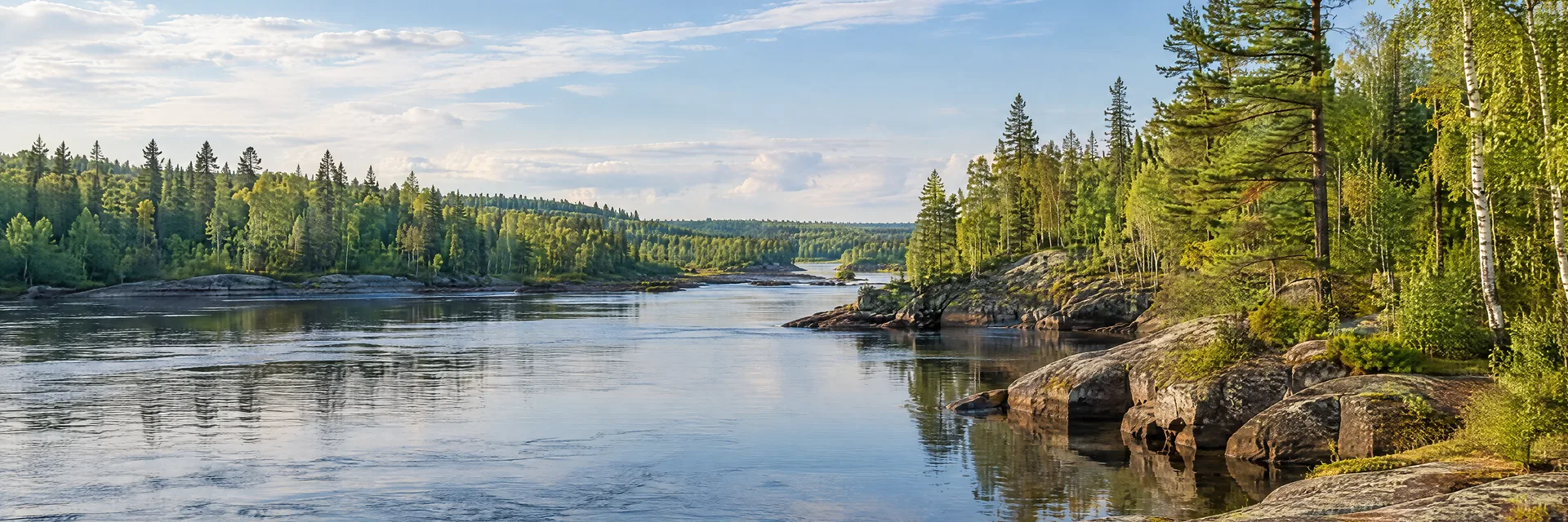 Illustration inspired by Cloquet, MN: northeastern Minnesota river corridor, pine and birch woodland and rocky banks.