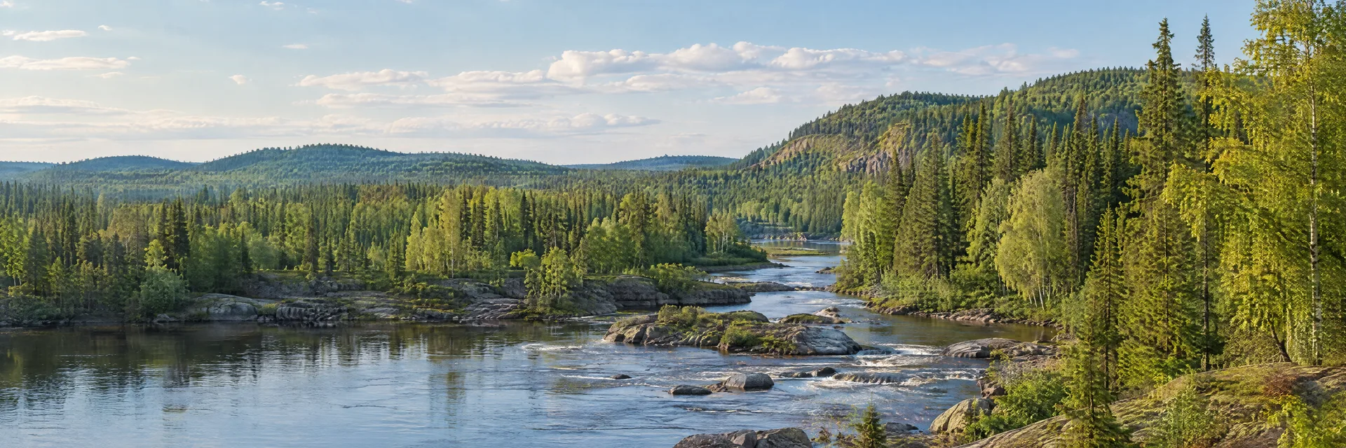 Illustration inspired by Finland, MN: northeastern Minnesota North Shore inland country, boreal spruce and birch forest, clear rocky river and low rugged wooded hills.