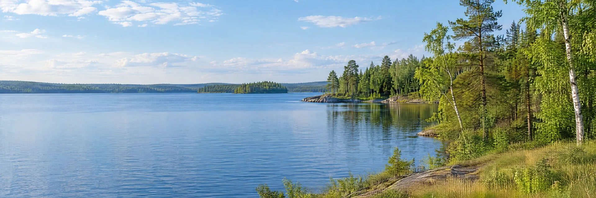 Illustration inspired by Grand Rapids, MN: northern Minnesota lake country, peaceful blue freshwater lake, mixed pine and birch woodland and a gently sloping grassy shoreline.