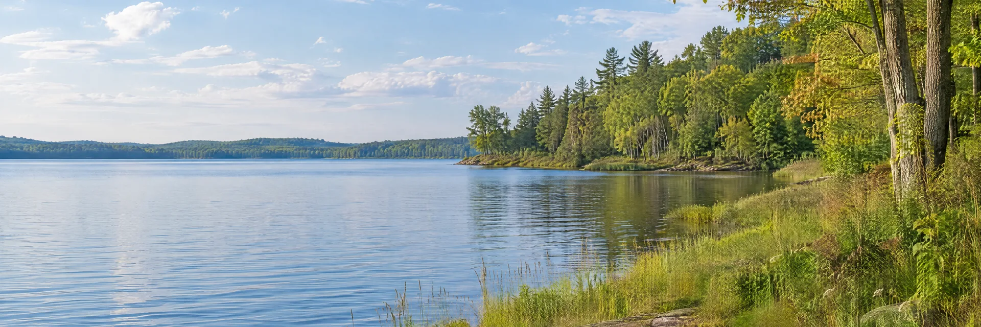 Illustration inspired by Scandia, MN: eastern Minnesota lake, mixed hardwood woodland and grassy shoreline.