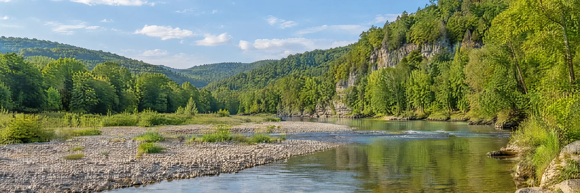 Illustration inspired by Bunker, MO: missouri Ozark forest valley with a clear creek and gravel bars.