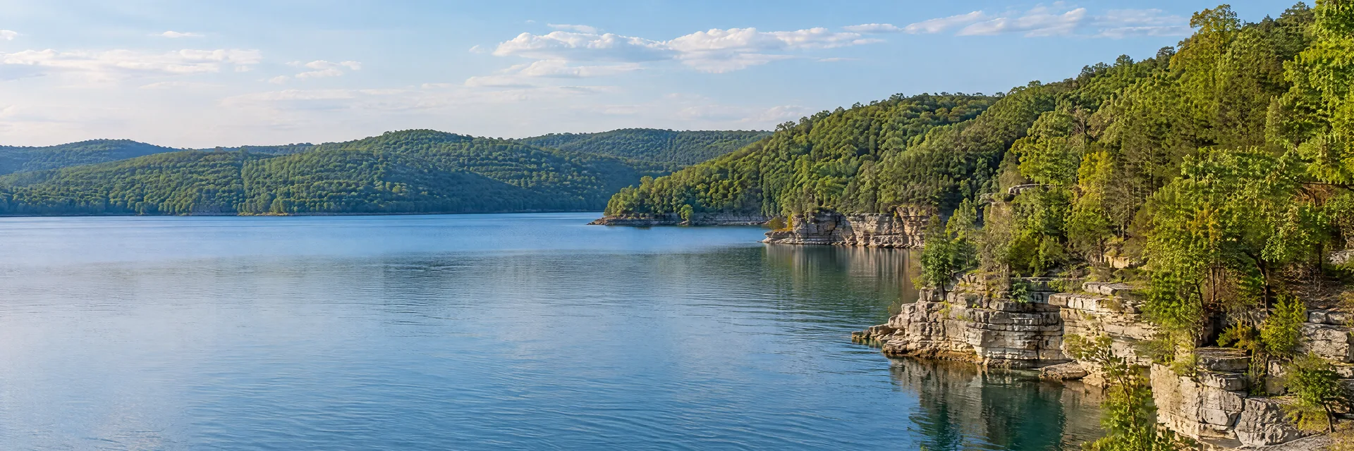Illustration inspired by Cape Fair, MO: missouri Ozark lake cove with wooded hills and limestone shoreline.