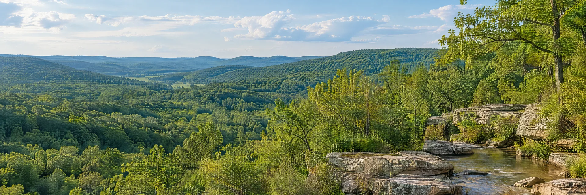 Illustration inspired by De Soto, MO: eastern Missouri Ozark foothills with leafy hardwood forest, limestone creek stones and gently rolling green ridges.