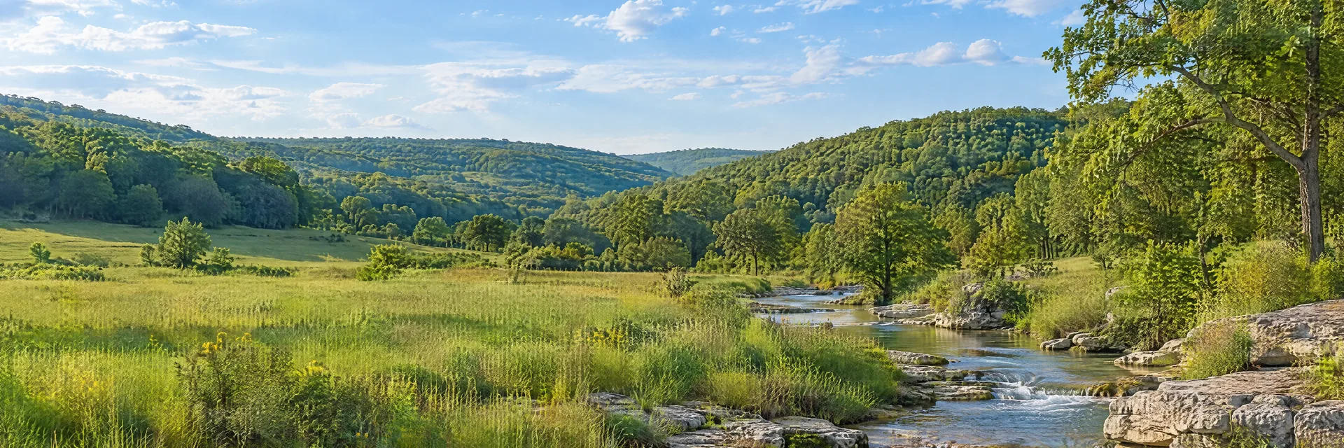 Illustration inspired by Parkway, MO: east-central Missouri Ozark foothills, rolling oak-covered hills, clear limestone-lined creek and green meadow.
