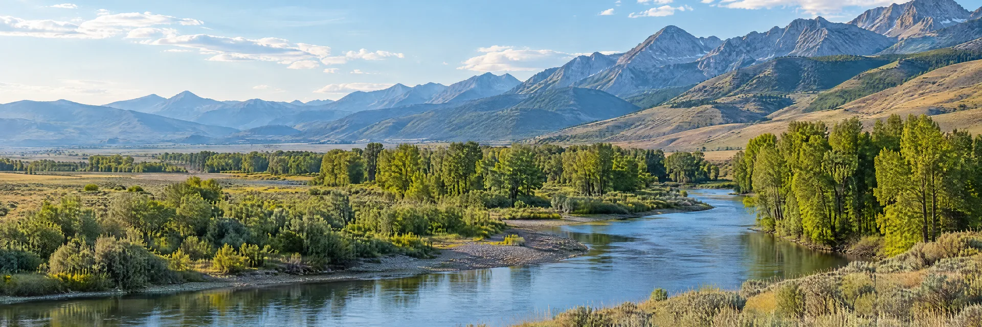 Illustration inspired by Cardwell, MT: southwest Montana open river valley with cottonwoods, sage grassland and distant rugged mountain ridges.