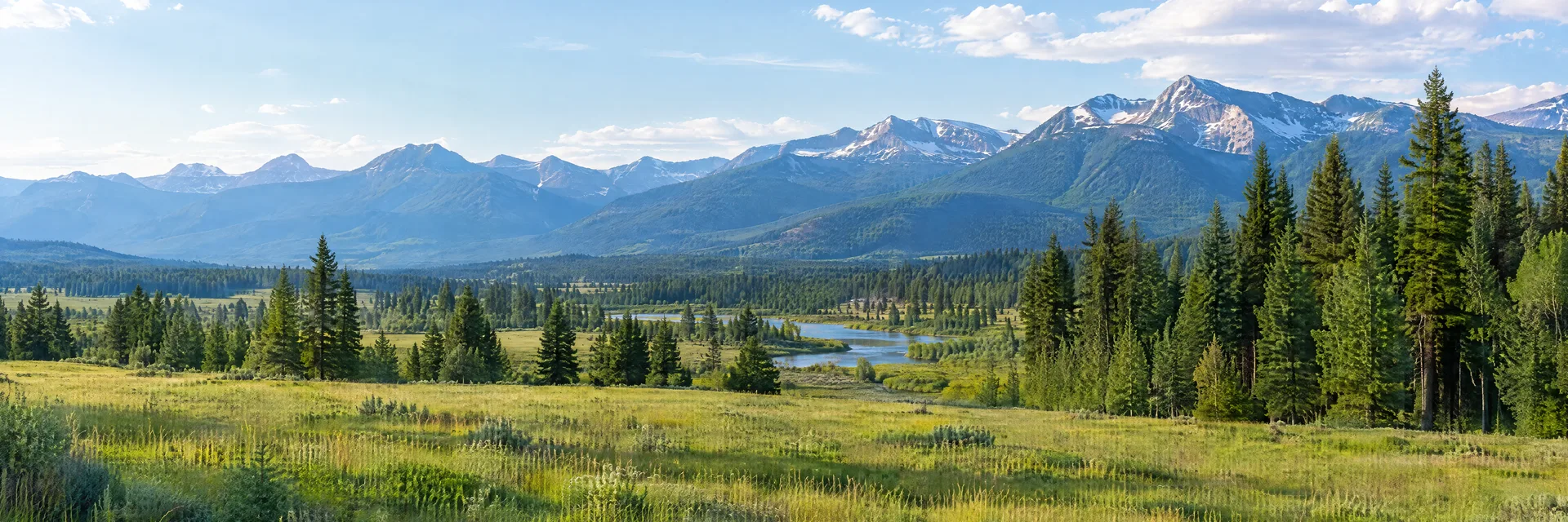 Illustration inspired by Columbia Falls, MT: flathead Valley green meadow, conifer forest and distant Montana mountain ridges.