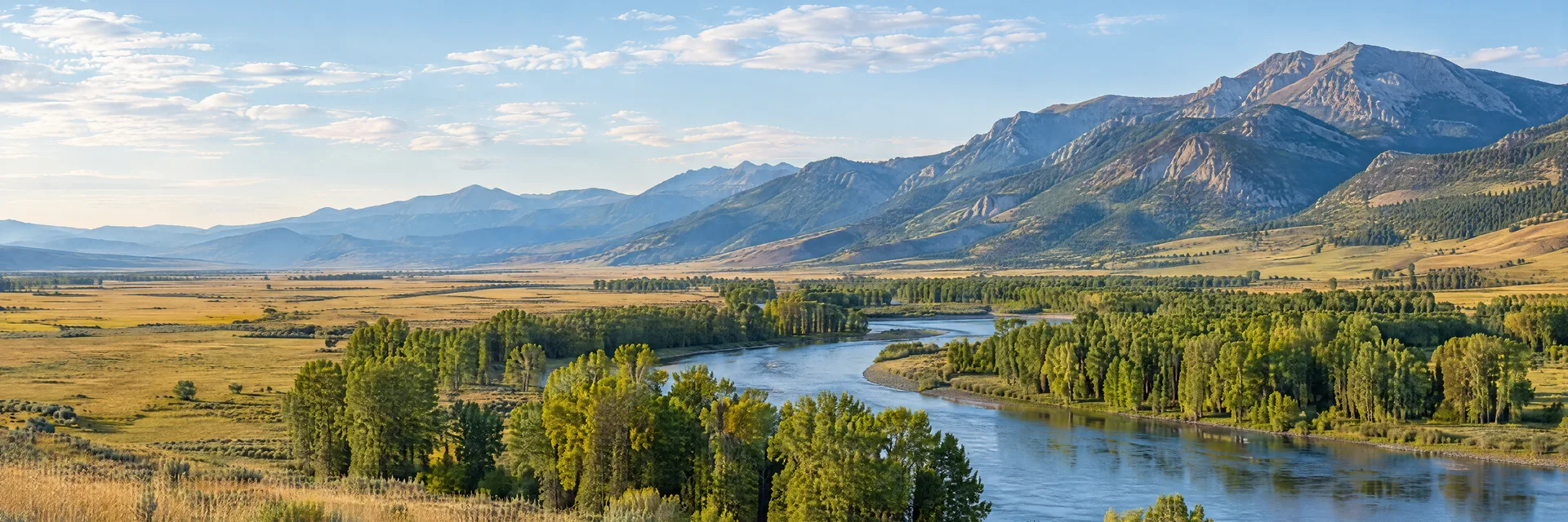 Illustration inspired by Emigrant, MT: montana Paradise Valley region, broad river valley, cottonwood groves, golden meadow and distant rugged mountain slopes.