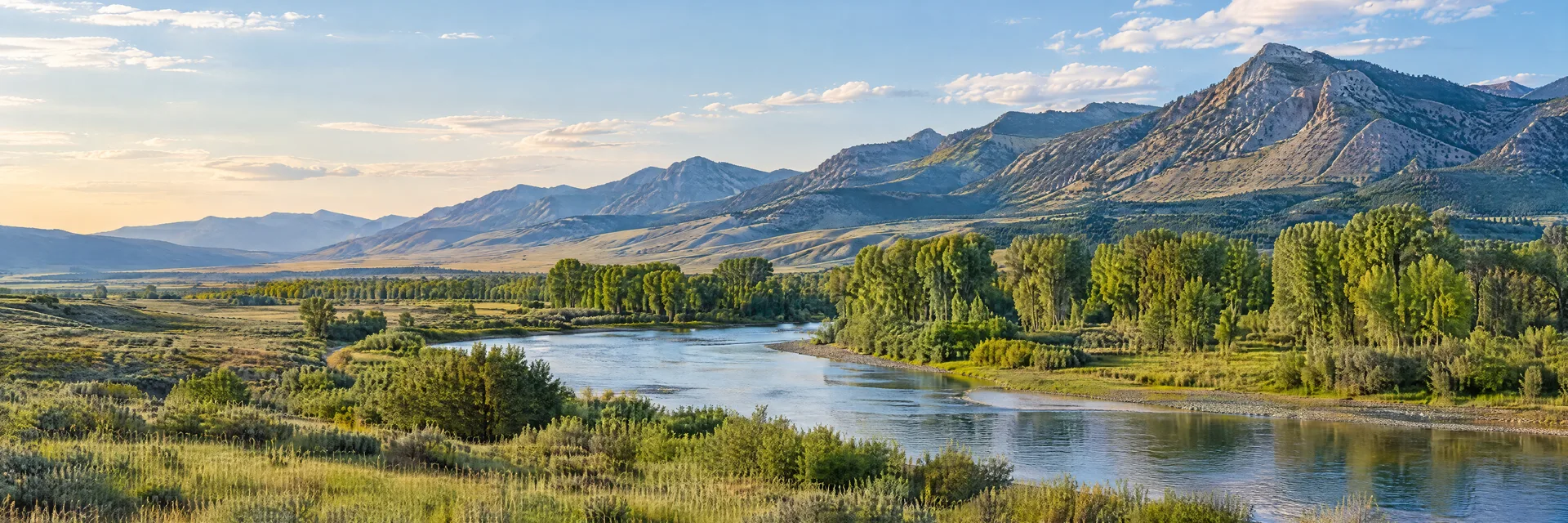 Illustration inspired by Greycliff, MT: south-central Montana Yellowstone Valley region, broad grassy river valley, cottonwood groves and distant rugged mountain slopes.