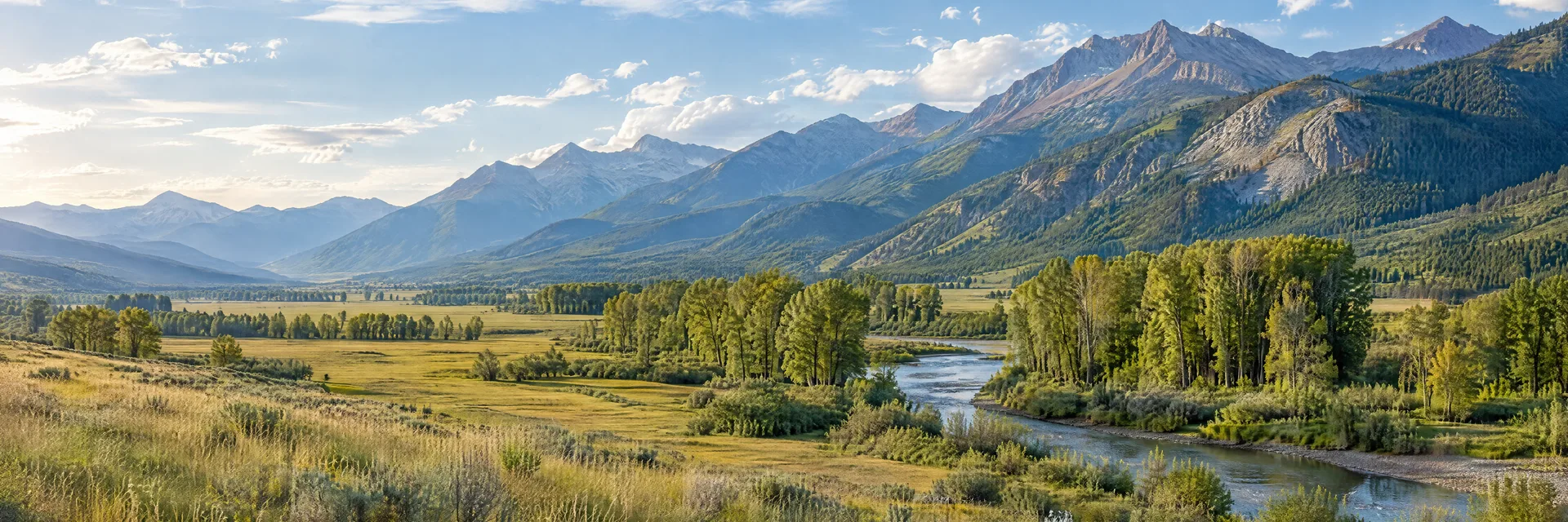 Illustration inspired by Kicking Horse, MT: western Montana mountain valley, open grassy prairie, cottonwood groves and distant rugged mountain slopes.