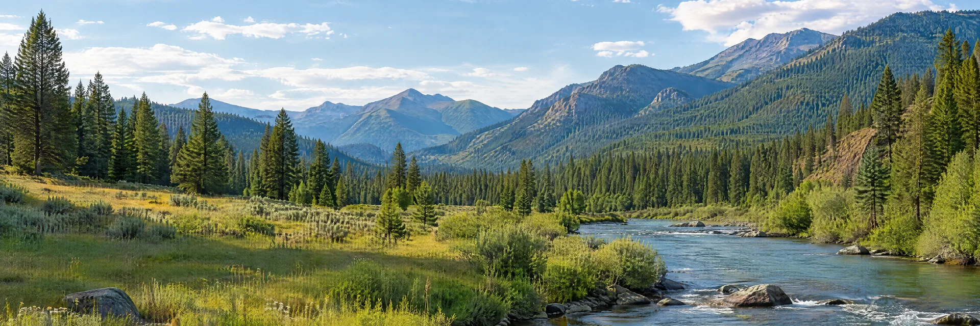 Illustration inspired by Lolo, MT: western Montana pine-covered mountain valley, grassy clearing and a clear river.
