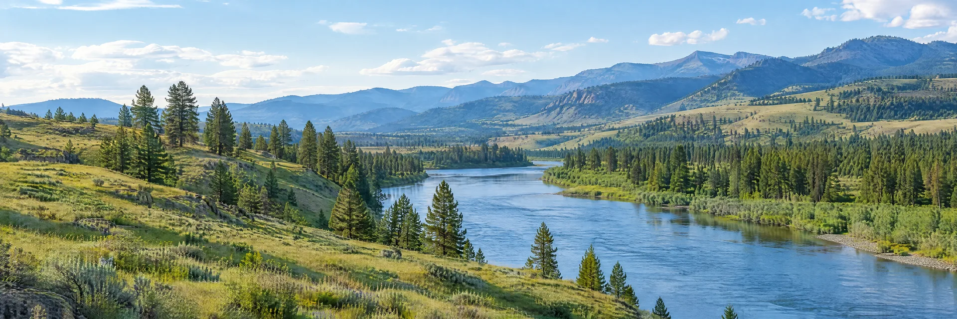 Illustration inspired by Spokane Creek, MT: west-central Montana grassy foothills, pine groves and a broad blue river.
