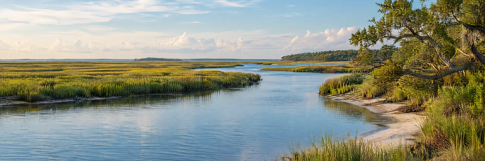 Illustration inspired by Beaufort, NC: north Carolina Crystal Coast region, quiet tidal creek, broad salt marsh, low sandy shore and scattered coastal live oak trees.