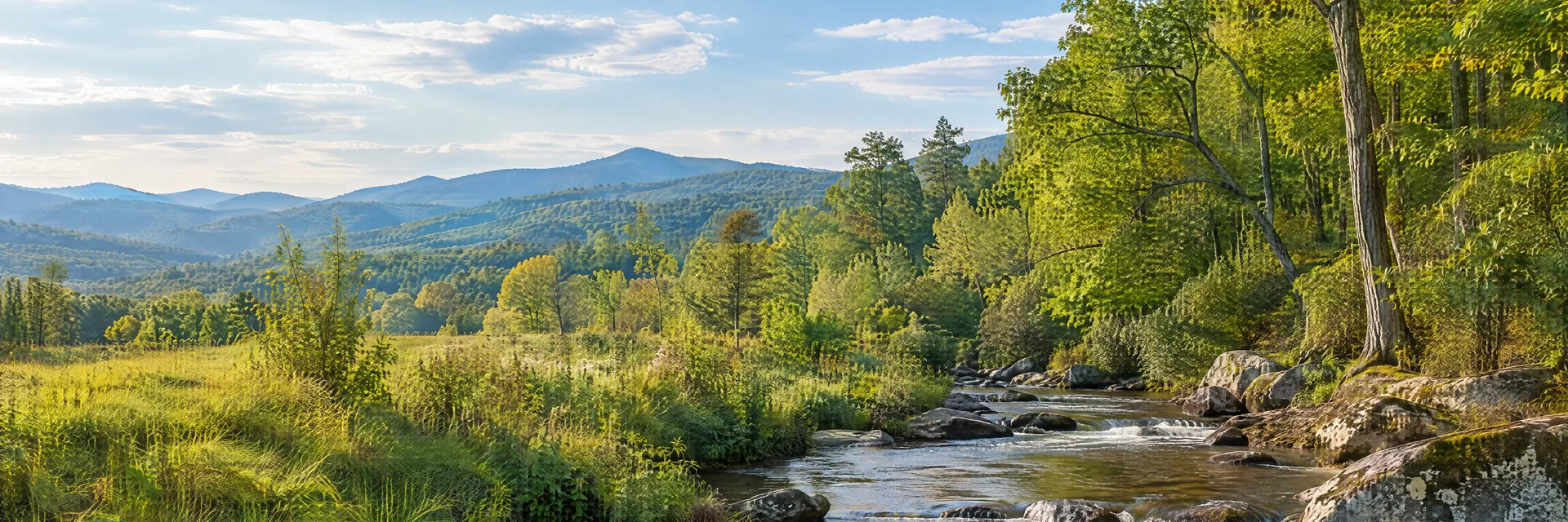 Illustration inspired by Boiling Springs, NC: north Carolina foothill countryside with hardwood trees and gently flowing creek.
