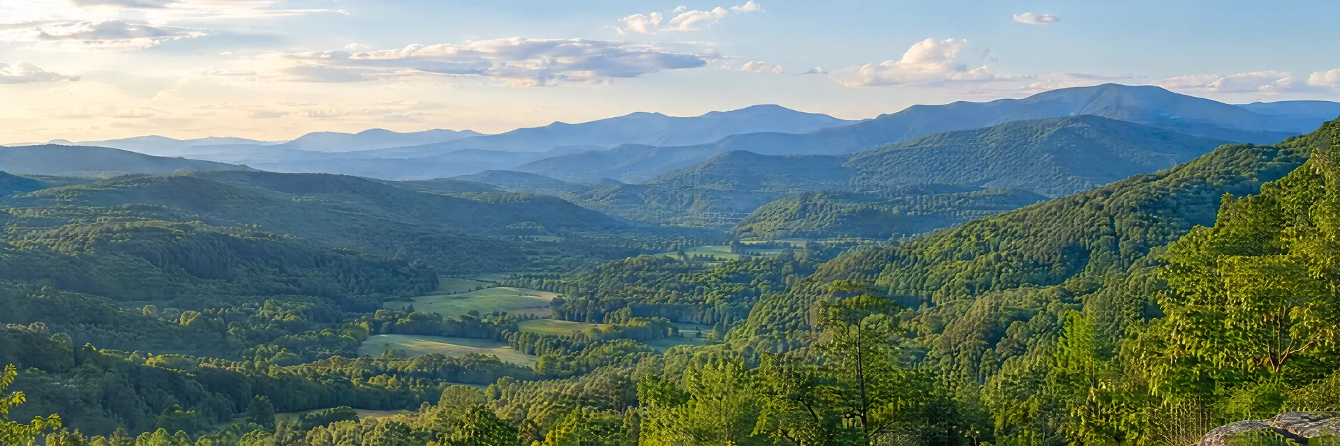 Illustration inspired by Candler, NC: western North Carolina green valley, hardwood forest and layered Blue Ridge slopes.
