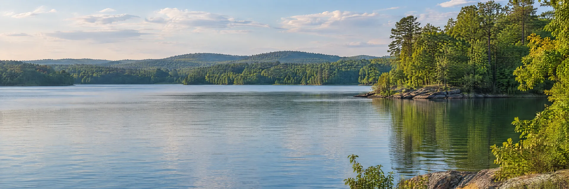 Illustration inspired by Davidson, NC: north Carolina Piedmont lake cove, wooded shores and gentle low hills.