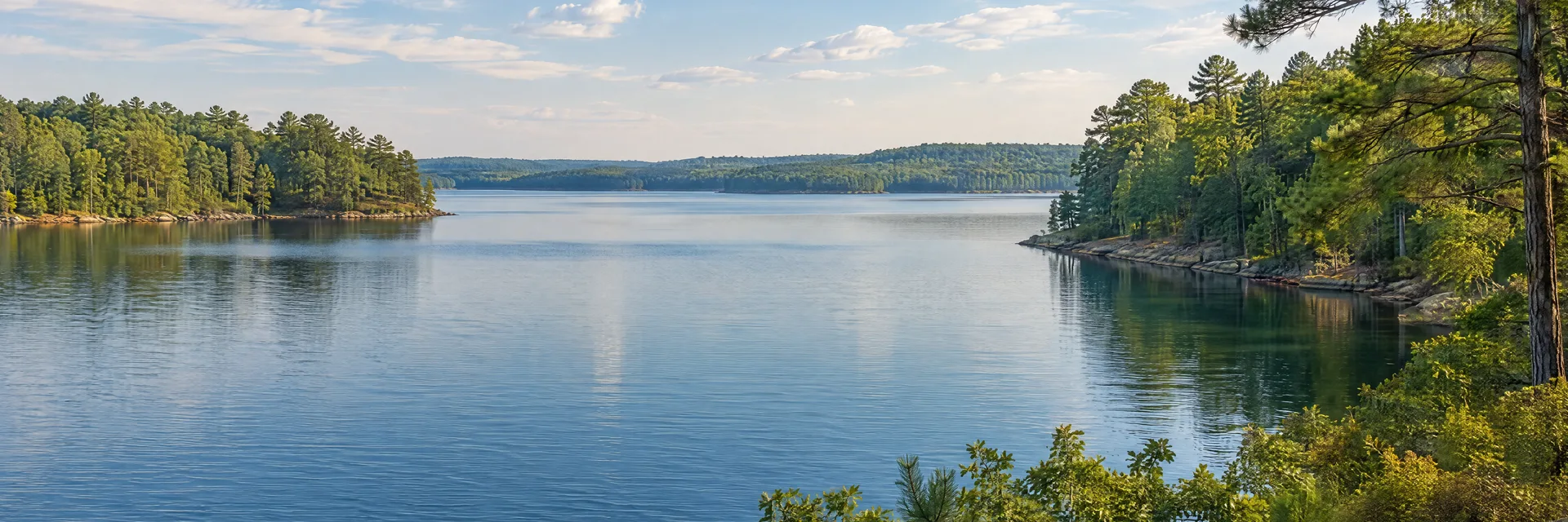 Illustration inspired by Greensboro, NC: north Carolina Piedmont reservoir with oak and pine wooded shoreline.