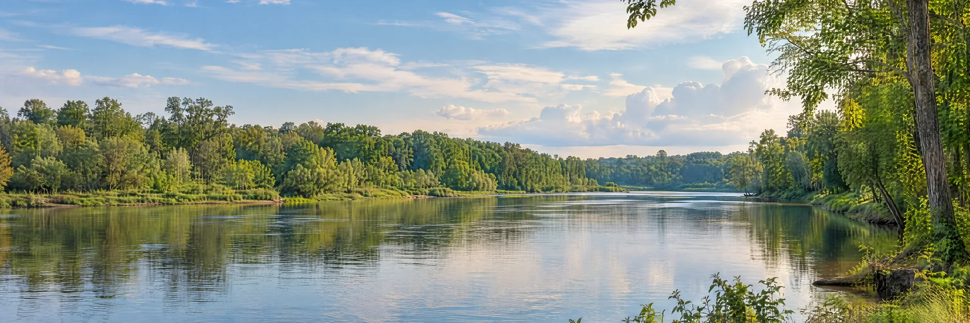 Illustration inspired by Greenville, NC: eastern North Carolina flat river plain with hardwood woodland and leafy banks.