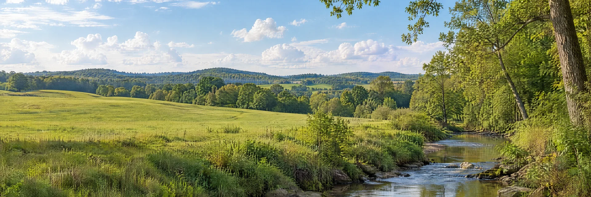 Illustration inspired by Grover, NC: north Carolina southern Piedmont, softly rolling farmland, oak and hickory woodland and a quiet narrow creek.