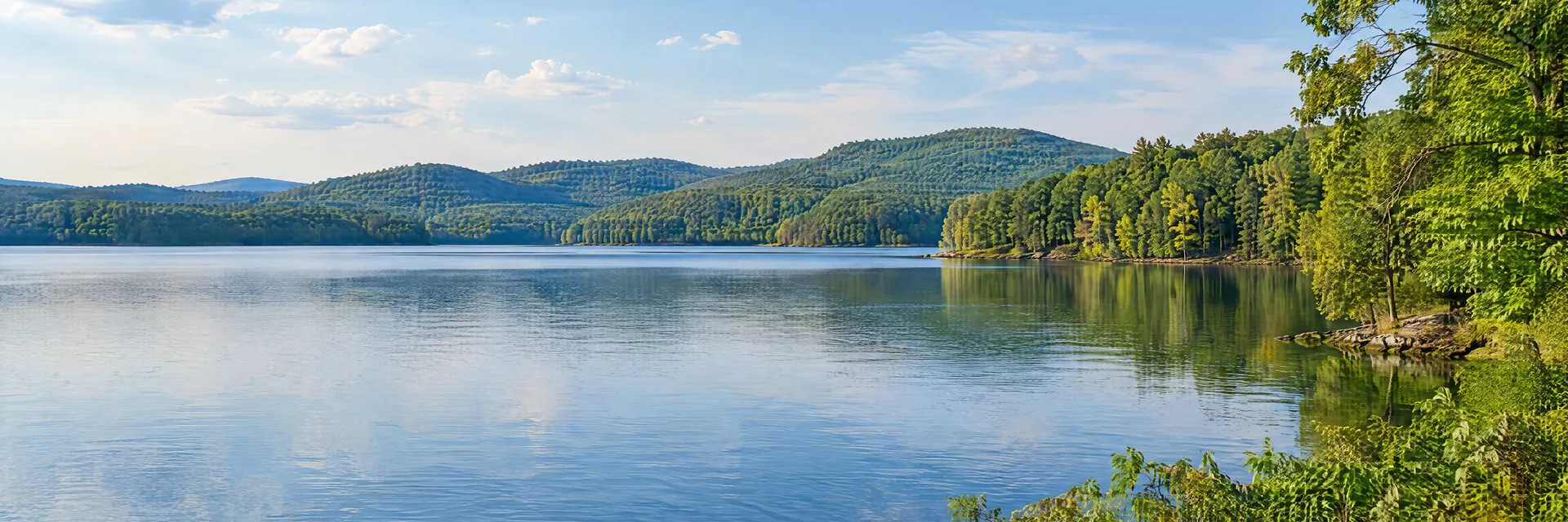 Illustration inspired by High Point, NC: north Carolina Piedmont lake, hardwood shoreline and gently rolling green hills.