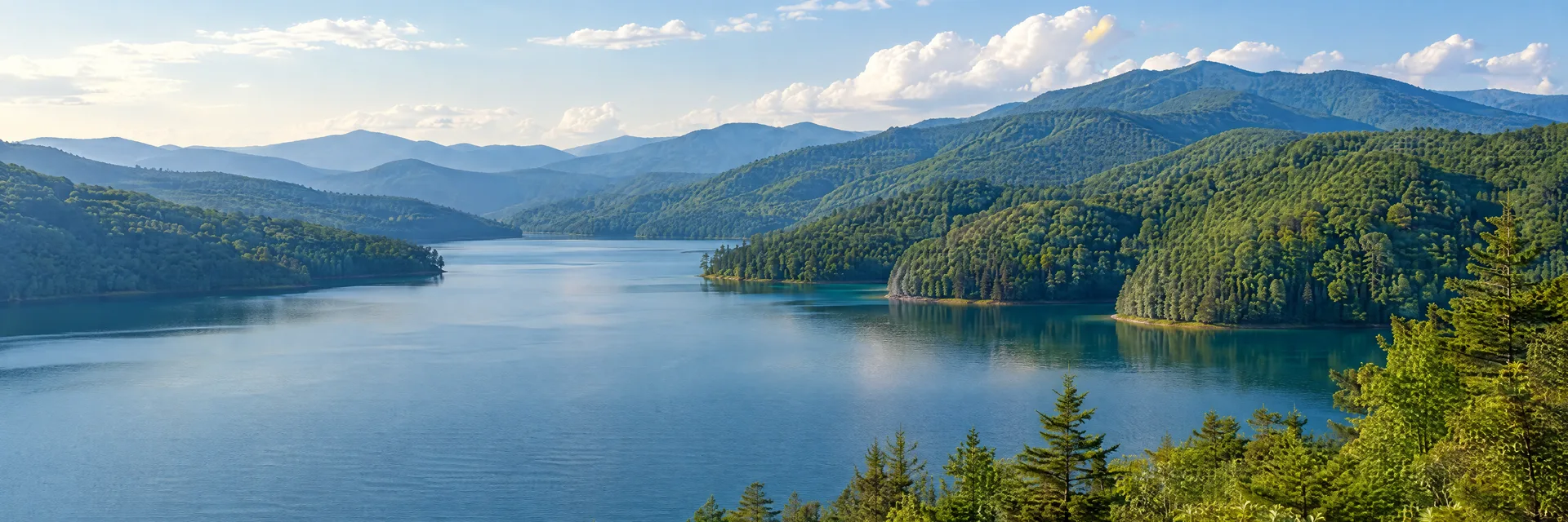 Illustration inspired by Lake Santeetlah, NC: western North Carolina clear mountain lake with densely forested ridges.