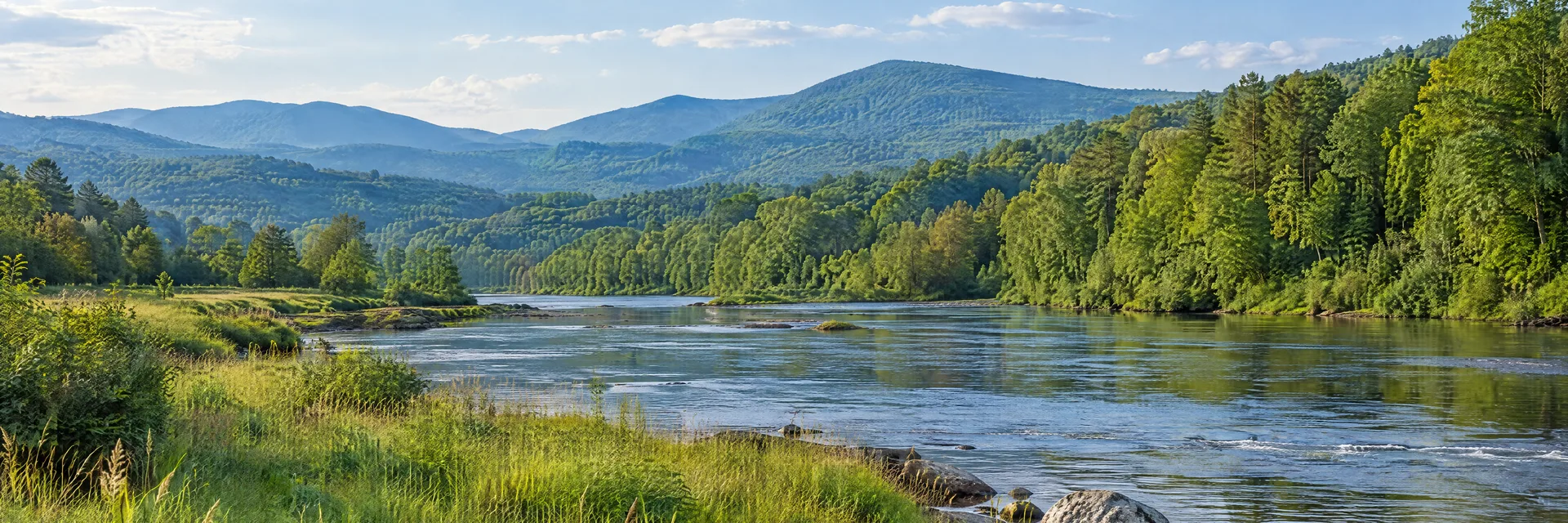 Illustration inspired by Piney Creek, NC: northwestern North Carolina New River country with grassy banks, mixed hardwood forest and rounded Blue Ridge hills.
