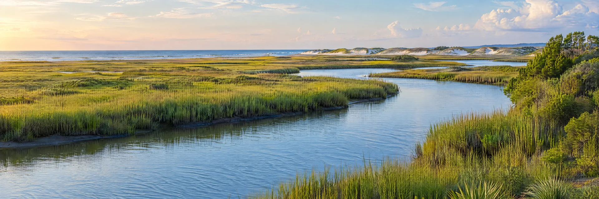 Illustration inspired by Sneads Ferry, NC: coastal North Carolina tidal creek, salt marsh and distant barrier-island dunes.
