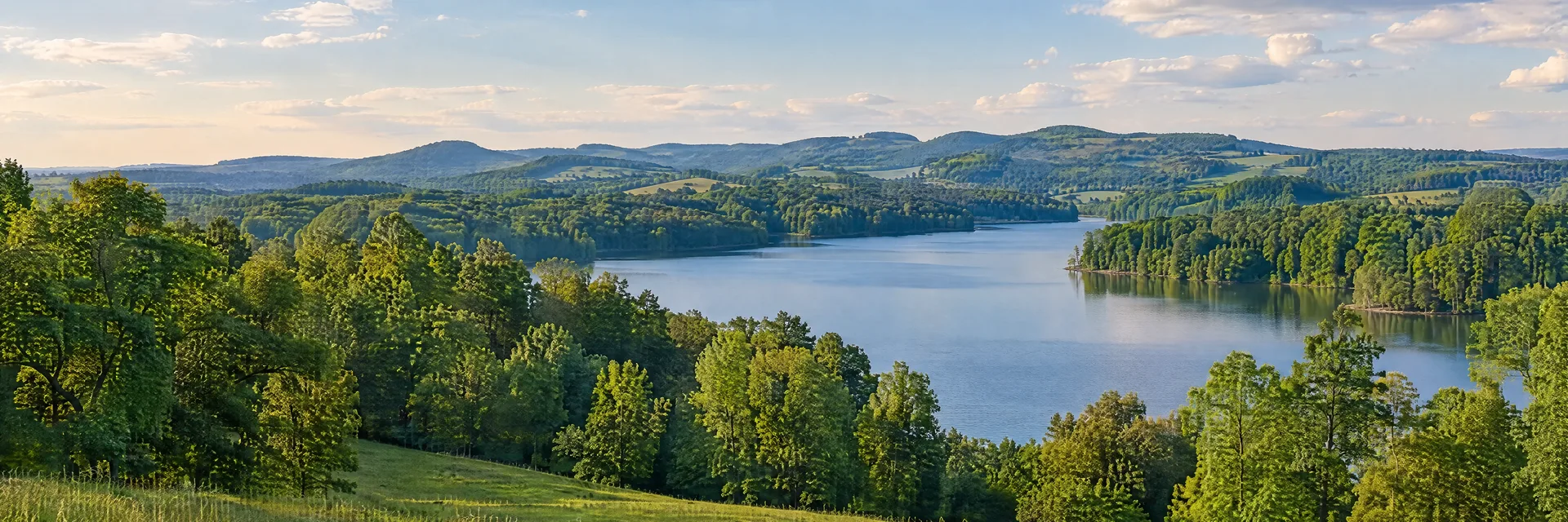 Illustration inspired by Statesville, NC: north Carolina Piedmont, gently rolling green countryside, hardwood trees and a quiet freshwater lake.