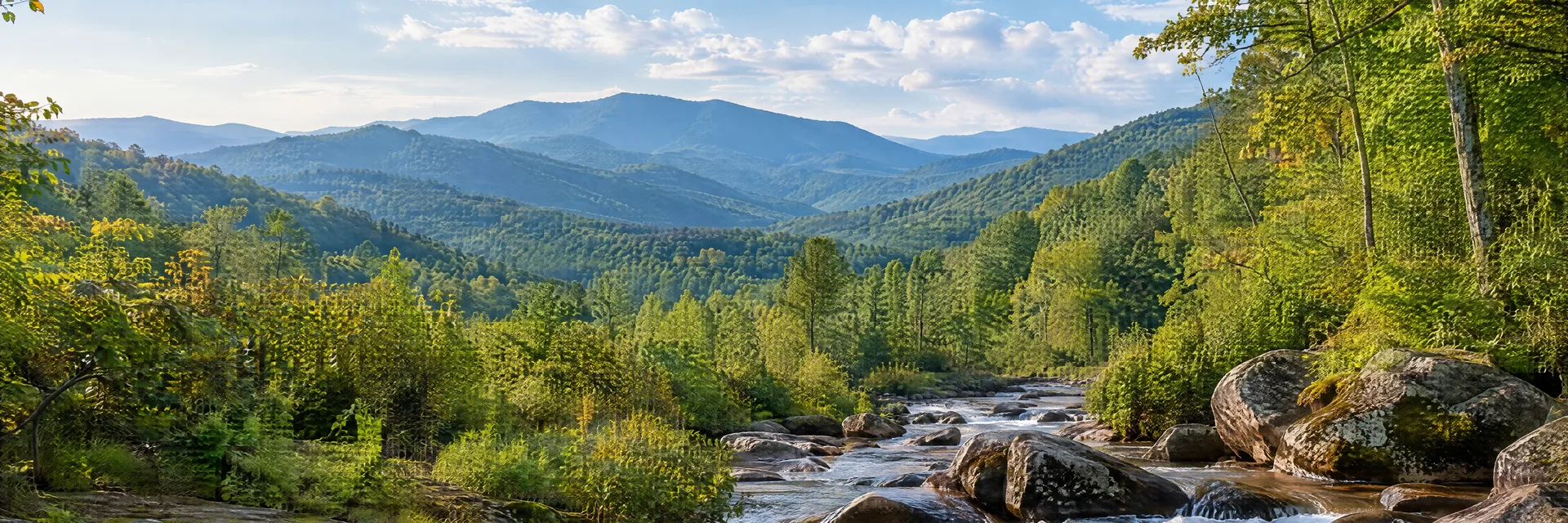 Illustration inspired by Sylva, NC: western North Carolina mountain valley, lush hardwood woodland and clear creek.