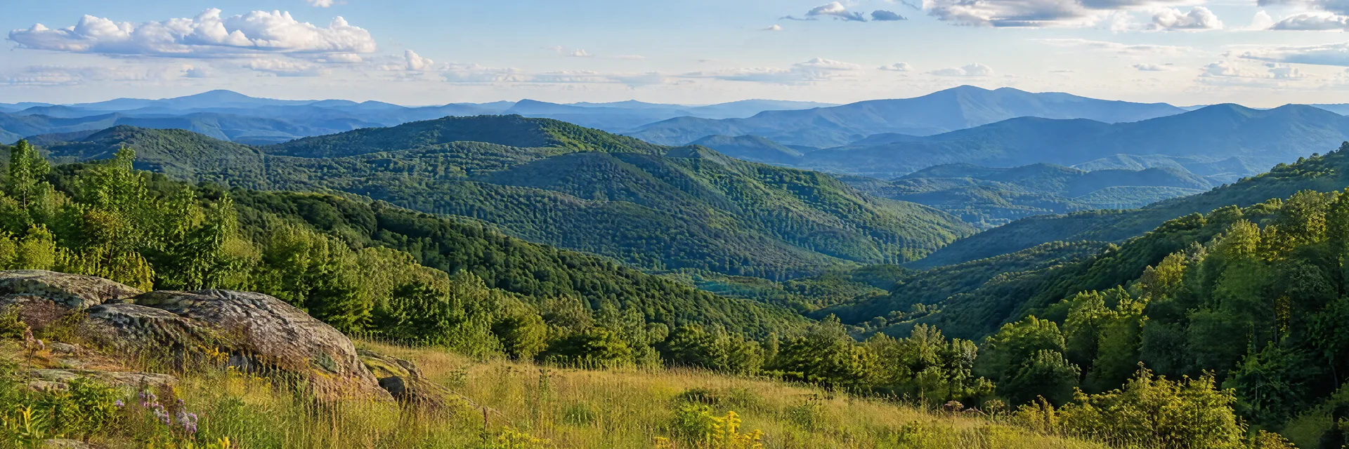 Illustration inspired by Waynesville, NC: western North Carolina mountain meadow and hardwood-covered ridges.