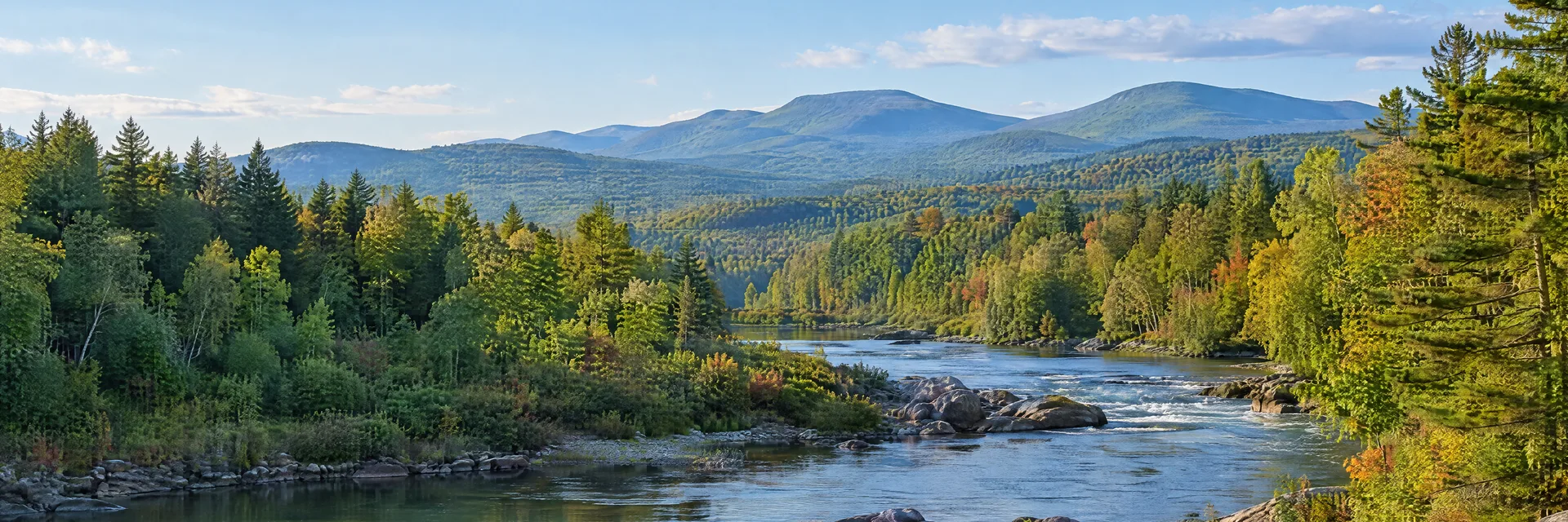 Illustration inspired by Littleton, NH: northern New Hampshire green river valley with pine and maple forest and distant rounded White Mountain foothills.
