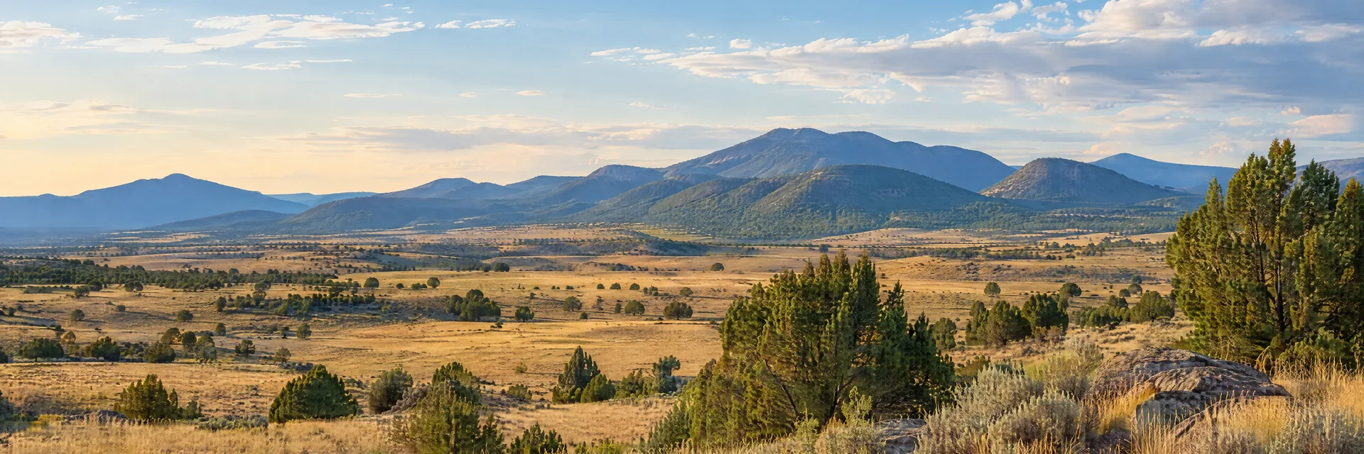 Illustration inspired by Edgewood, NM: central New Mexico high plains, broad golden grassland, scattered juniper and distant rounded mountain ridges.
