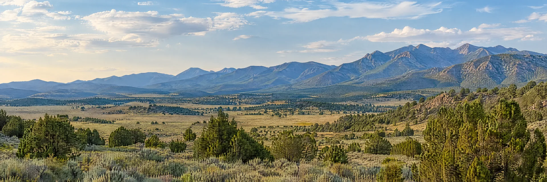 Illustration inspired by El Prado, NM: northern New Mexico high country, broad sagebrush plain, scattered juniper and distant rugged mountain ridges.