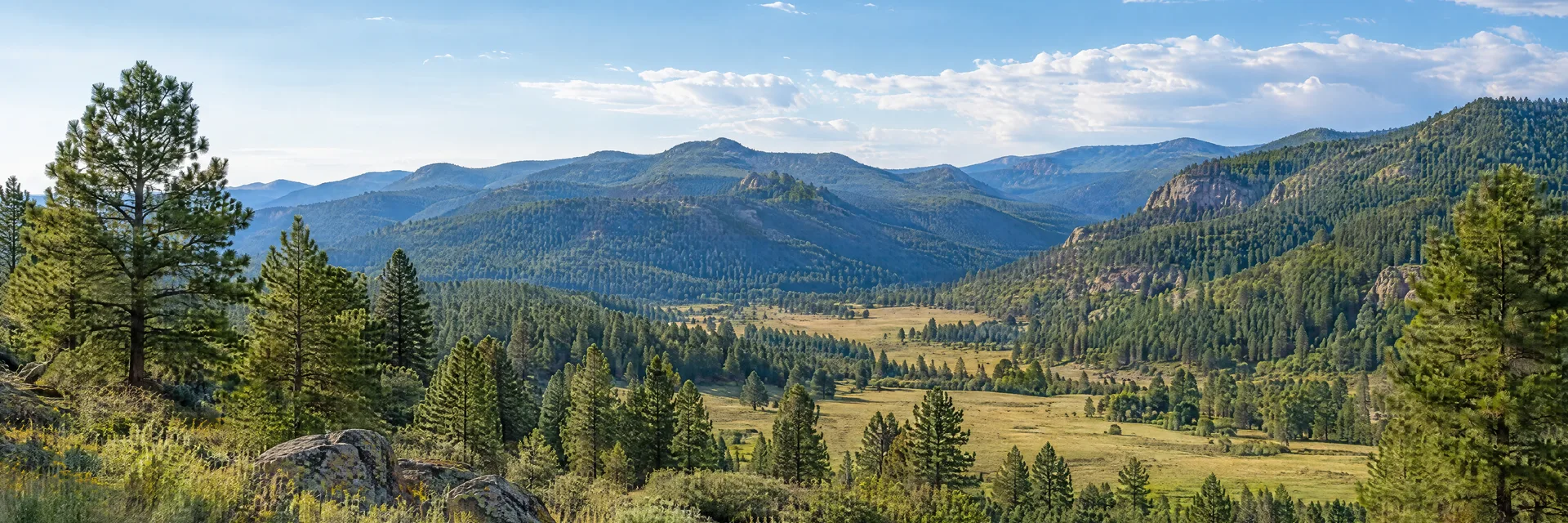 Illustration inspired by Ruidoso, NM: new Mexico high-country pine woodland, grassy mountain valley and distant wooded ridges.