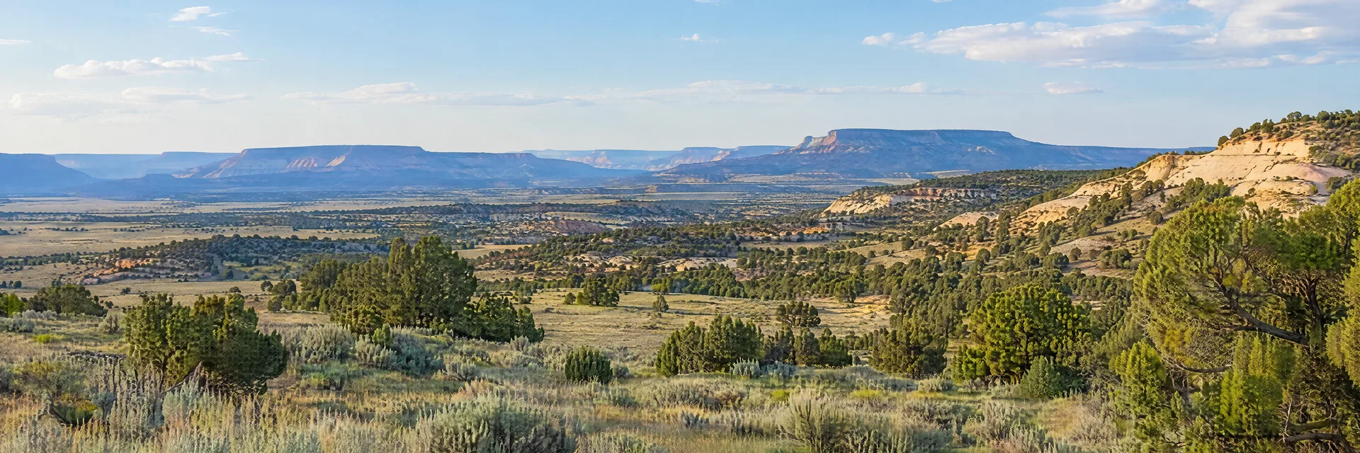 Illustration inspired by Stoneridge, NM: western New Mexico high plateau, broad sagebrush grassland, scattered pinyon and juniper, pale sandstone slopes and distant mesas.