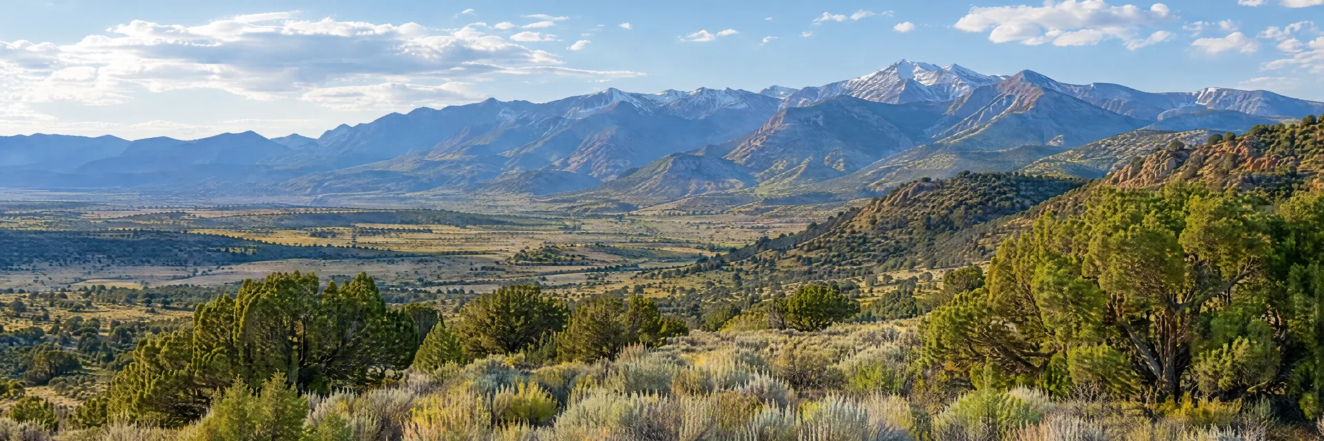 Illustration inspired by Taos, NM: northern New Mexico high desert valley, sagebrush, junipers and distant Sangre de Cristo ridges.