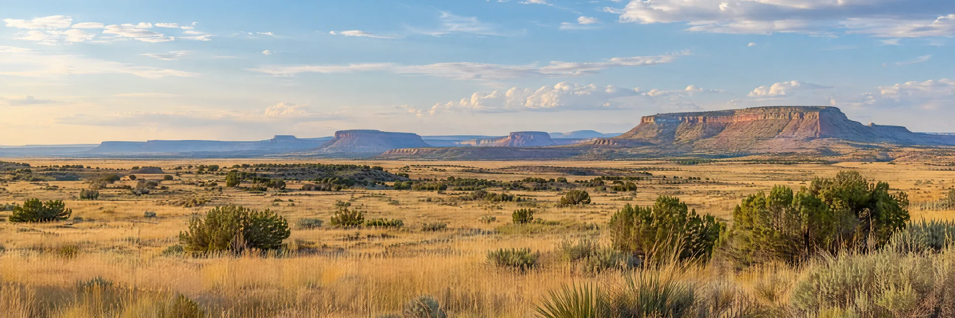 Illustration inspired by Tucumcari, NM: eastern New Mexico high plains, wide golden grassland, scattered desert shrubs and distant flat-topped mesas.