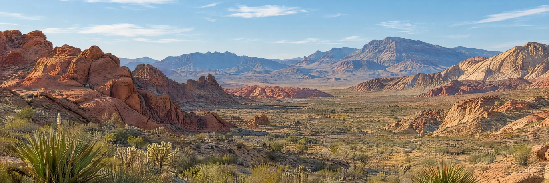 Illustration inspired by Las Vegas, NV: mojave desert basin with rocky sandstone ridges and sparse desert plants, no skyline.