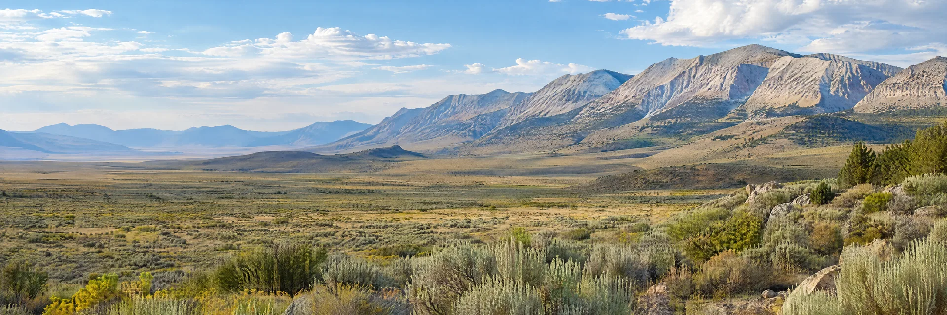 Illustration inspired by McGill, NV: eastern Nevada high desert valley, sagebrush, pale limestone mountains and wide sky.