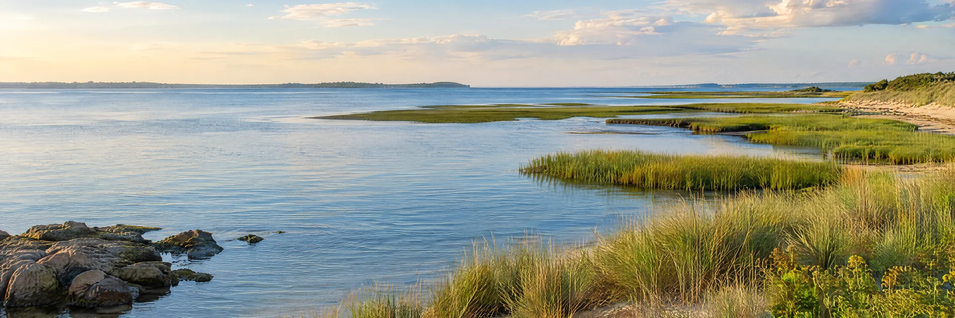 Illustration inspired by Brooklyn, NY: new York outer harbor coastal region, low salt marsh, broad tidal bay, sandy grasses and distant shoreline, no invented skyline or bridges.