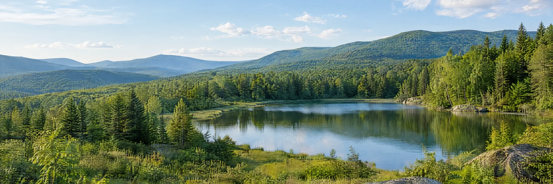 Illustration inspired by Mountain Dale, NY: southern Catskills wooded hills, ferny clearings and a peaceful freshwater pond.
