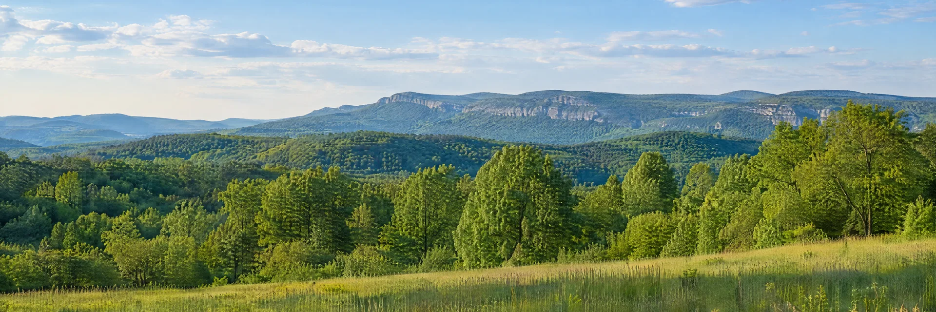 Illustration inspired by New Paltz, NY: new York Hudson Valley region, rolling green meadow, leafy hardwood woodland and distant pale rocky wooded ridges without a specific landmark.