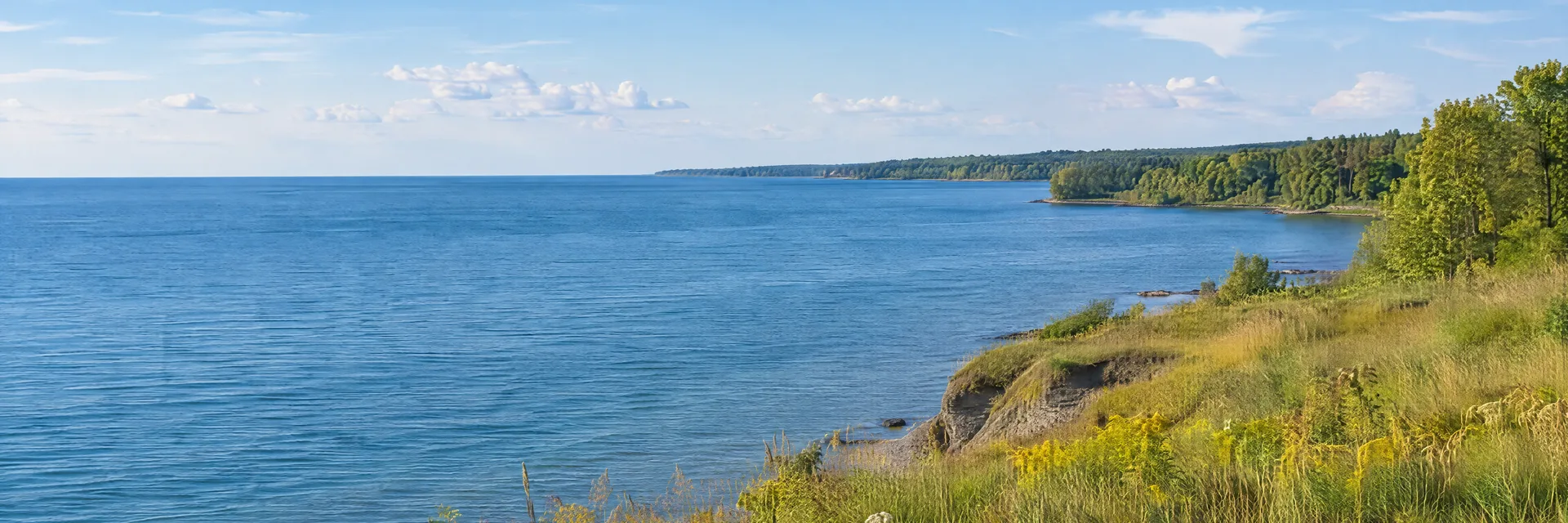 Illustration inspired by Sodus Point, NY: southern Lake Ontario shore with low grassy bluffs, broad blue water and wooded shoreline.