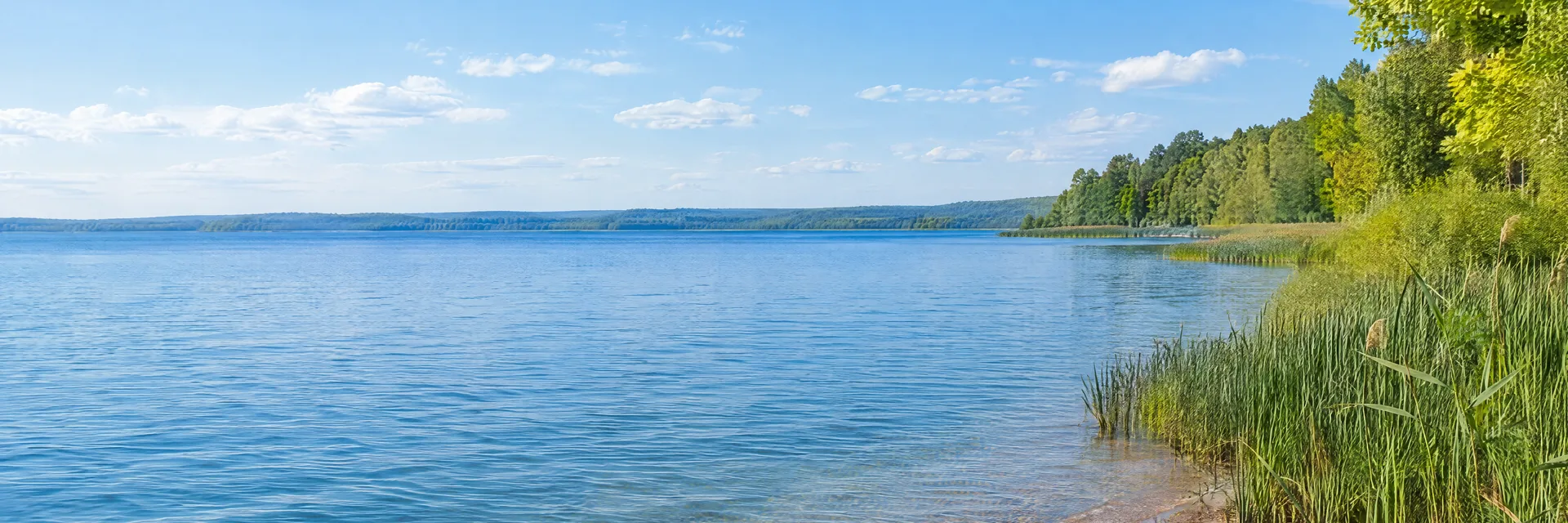 Illustration inspired by Verona Beach, NY: central New York lake country, broad blue freshwater lake, low sandy shoreline, reeds and leafy woodland.