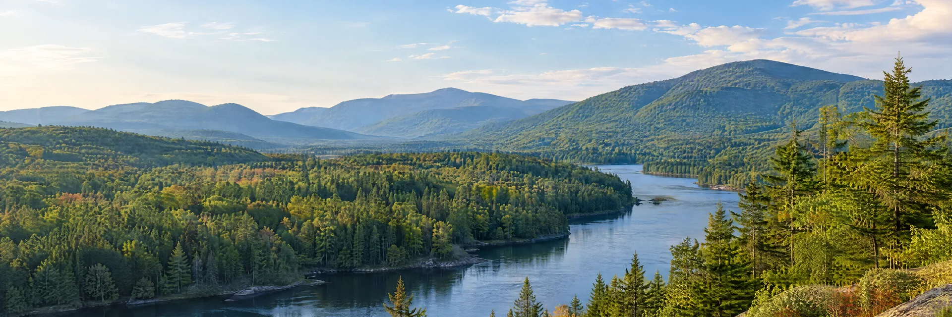 Illustration inspired by WILMINGTON, NY: adirondack river valley, mixed evergreen forest and rounded wooded mountains.