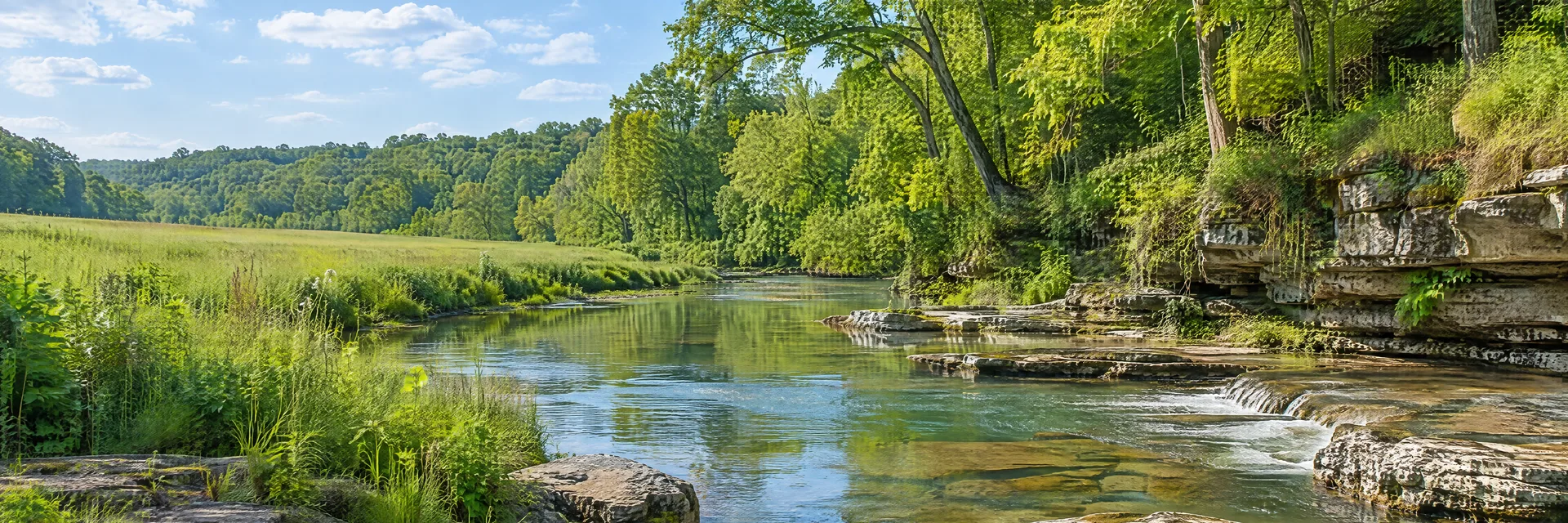Illustration inspired by Yellow Springs, OH: southwestern Ohio wooded creek country, limestone banks, clear flowing stream, leafy hardwood trees and a green meadow.