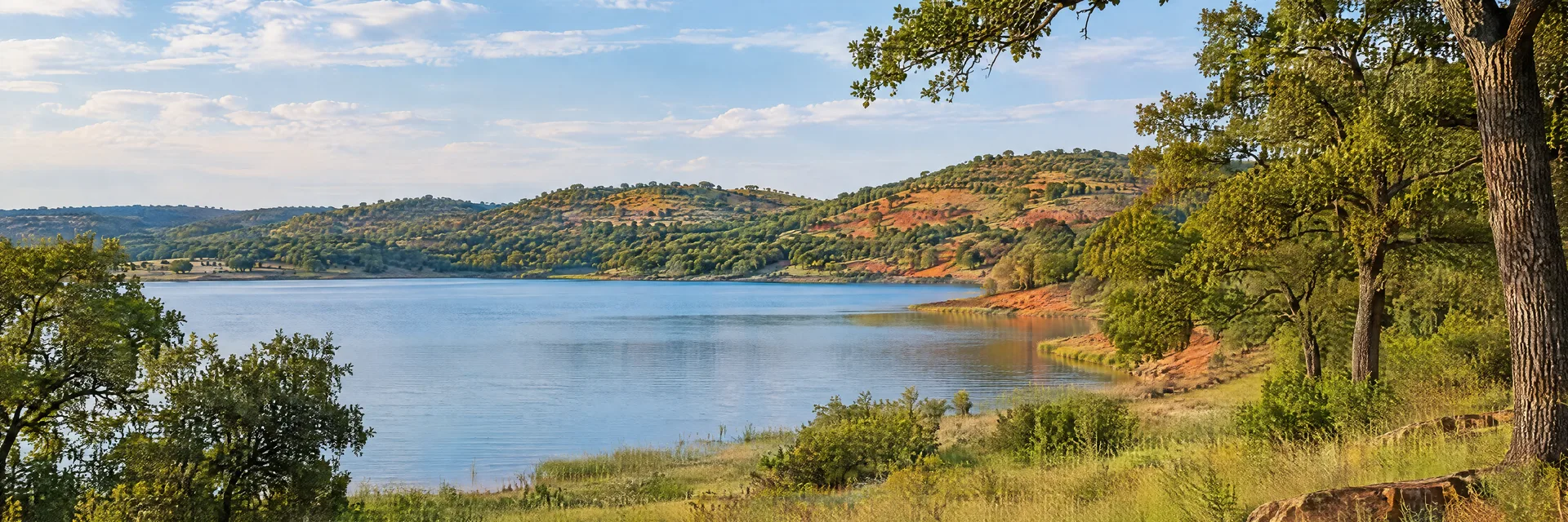 Illustration inspired by Durant, OK: southern Oklahoma oak woodland, grassy lake shore and softly rolling red-earth hills.