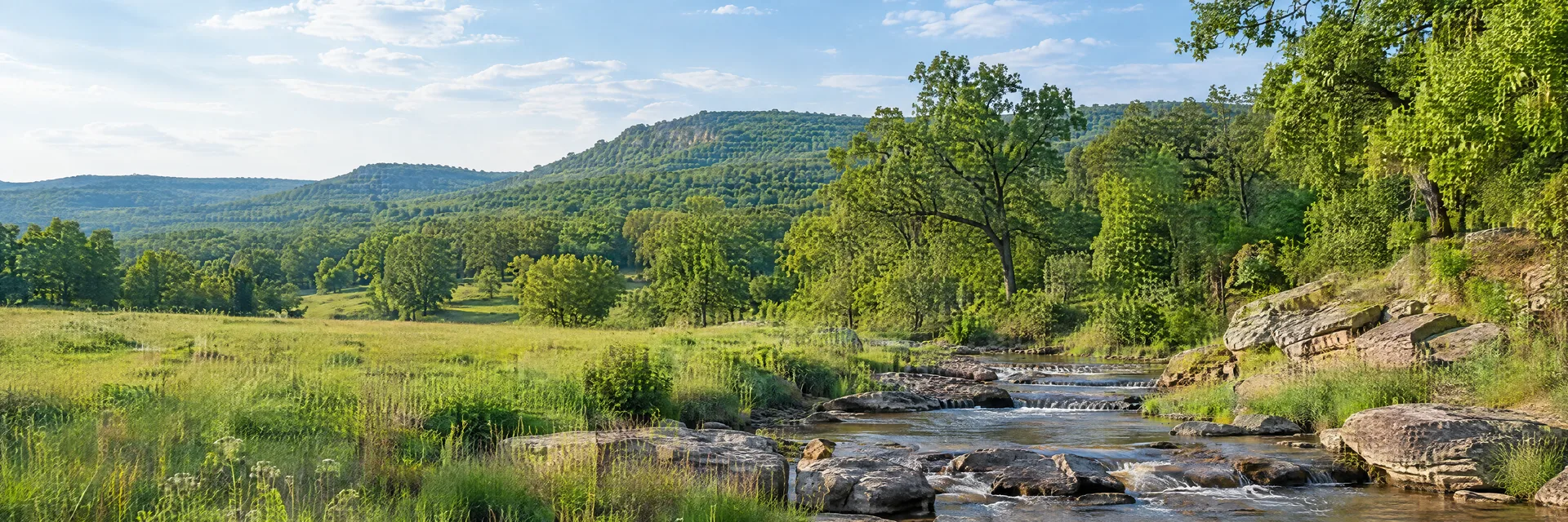 Illustration inspired by Rocky Ford, OK: northeastern Oklahoma Ozark foothill countryside with oak forest, green meadow and a shallow rocky creek.